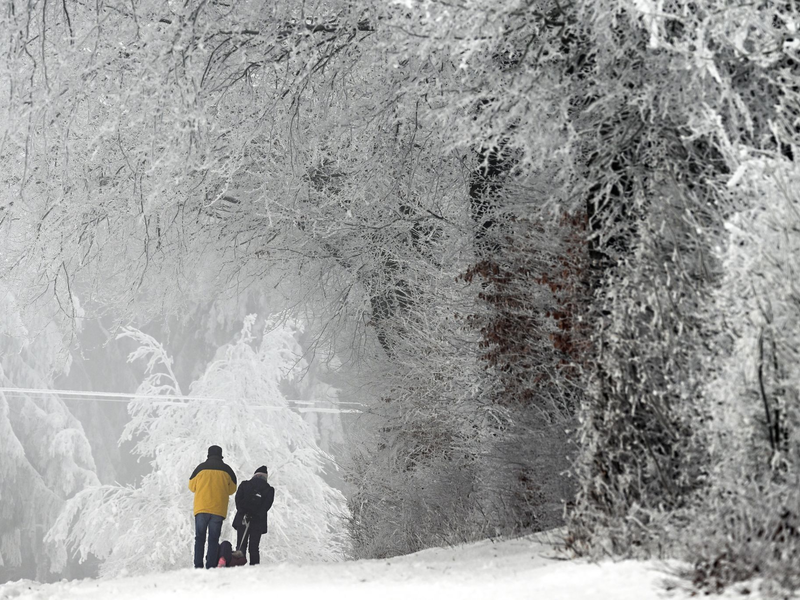Fahrräder und Autos fahren am Morgen durch den Nebel.  - Foto: Federico Gambarini/dpa