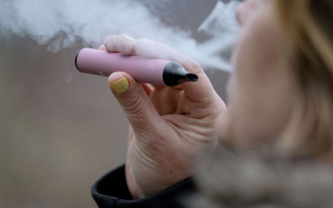 Mit dem neuen Gesetz soll erreicht werden, dass Einweg-E-Zigaretten nicht mehr so häufig in der Umwelt oder im Restmüll landen. - Foto: Marijan Murat/dpa