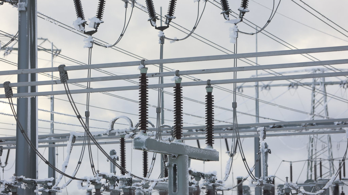 Eiskristalle bilden sich bereits an den Gräsern und Pflanzen am Brocken. - Foto: Matthias Bein/dpa