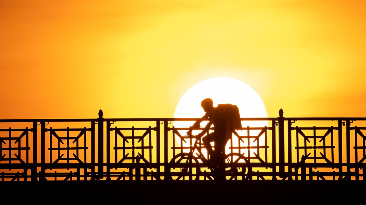 EU-weit könnten Lieferdienst- und Taxifahrer großer Online-Plattformen bald mehr Rechte bekommen. - Foto: Sebastian Gollnow/dpa