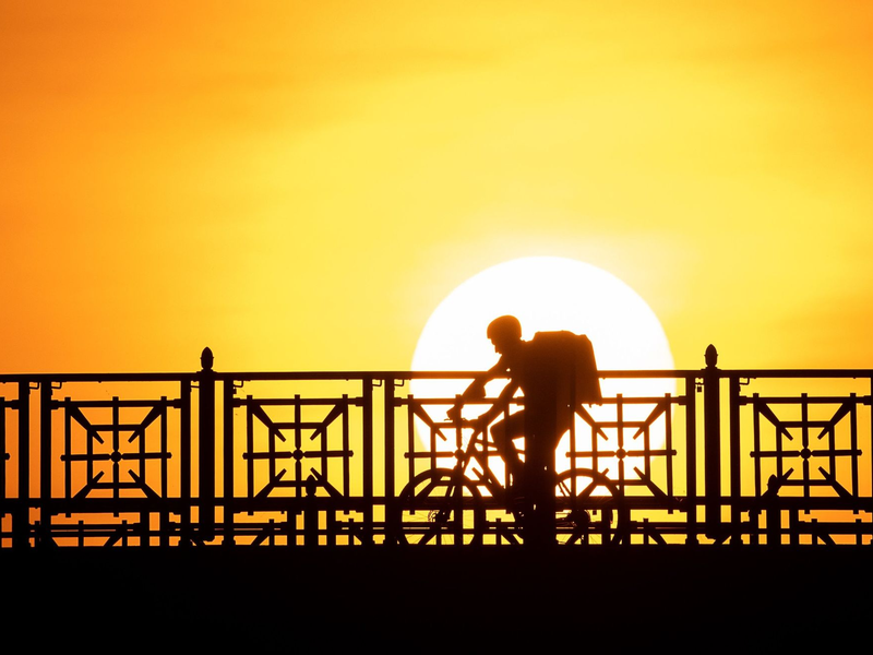 EU-weit könnten Lieferdienst- und Taxifahrer großer Online-Plattformen bald mehr Rechte bekommen. - Foto: Sebastian Gollnow/dpa