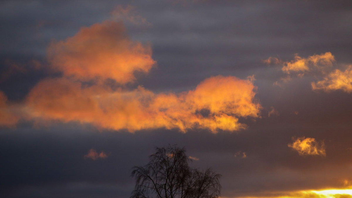 Seit Beginn der Aufzeichnungen war es auf der Erde nie heißer als im Jahr 2023. - Foto: Thomas Warnack/dpa