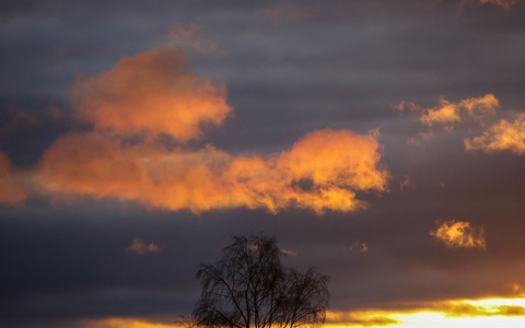 Seit Beginn der Aufzeichnungen war es auf der Erde nie heißer als im Jahr 2023. - Foto: Thomas Warnack/dpa
