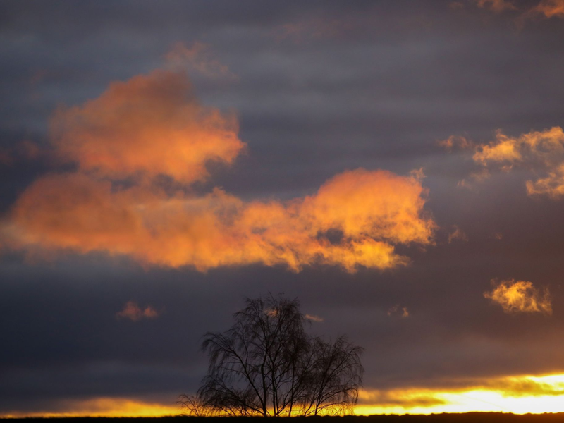 Seit Beginn der Aufzeichnungen war es auf der Erde nie heißer als im Jahr 2023. - Foto: Thomas Warnack/dpa