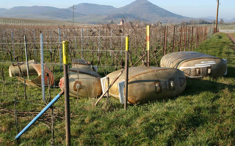 POL-SN: Illegale Entsorgung von Ölfässern - Polizei bittet um Hinweise - Foto: presseportal.de