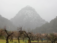 Mallorca bekommt die neue Unwetterfront schon zu spüren. - Foto: Clara Margais/dpa