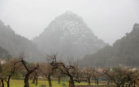 Auf Mallorca verzog sich das neue Unwetter nach heftigem Regen schnell wieder. - Foto: Clara Margais/dpa