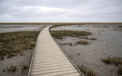 Jäger Lothar Häseker zieht ein im Hochwasser verendetes Reh über ein Feld. - Foto: Sina Schuldt/dpa