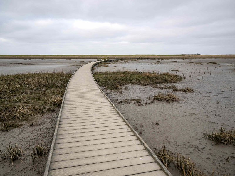 Jäger Lothar Häseker zieht ein im Hochwasser verendetes Reh über ein Feld. - Foto: Sina Schuldt/dpa