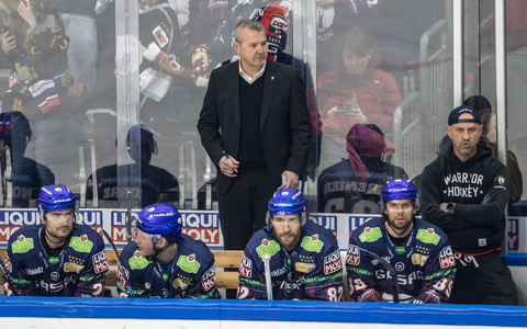 Auch die Eisbären Berlin erreichten das DEL-Finale. - Foto: Andreas Gora/dpa