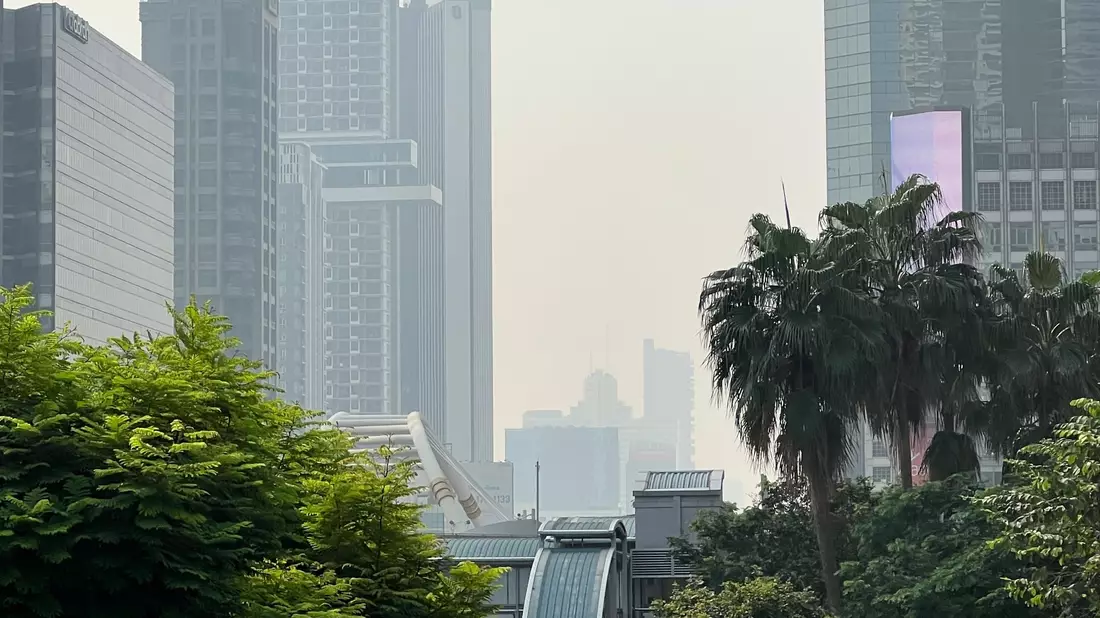 Die unzähligen Autos und Motorräder auf den Straßen Bangkoks sind eine der Hauptursachen für die dicke Luft. - Bild: Carola Frentzen/dpa