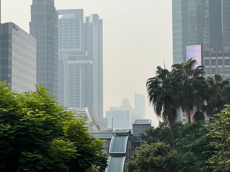Auch Brandrodungen tragen zum gefährlichen Smog bei. - Foto: Carola Frentzen/dpa