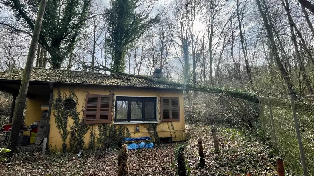 FW-EN: Massiver Baum stürze auf fahrenden Pkw - Zwei Verletzte bei Unfall in Herdecke - Großes Glück für Insassen - Bild: presseportal.de