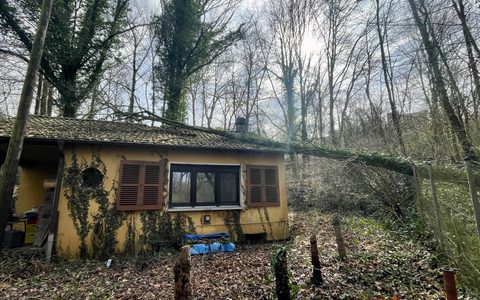 FW-EN: Massiver Baum stürze auf fahrenden Pkw - Zwei Verletzte bei Unfall in Herdecke - Großes Glück für Insassen - Foto: presseportal.de