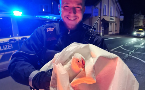 POL-HI: Jeden Tag eine gute Tat - Foto: presseportal.de