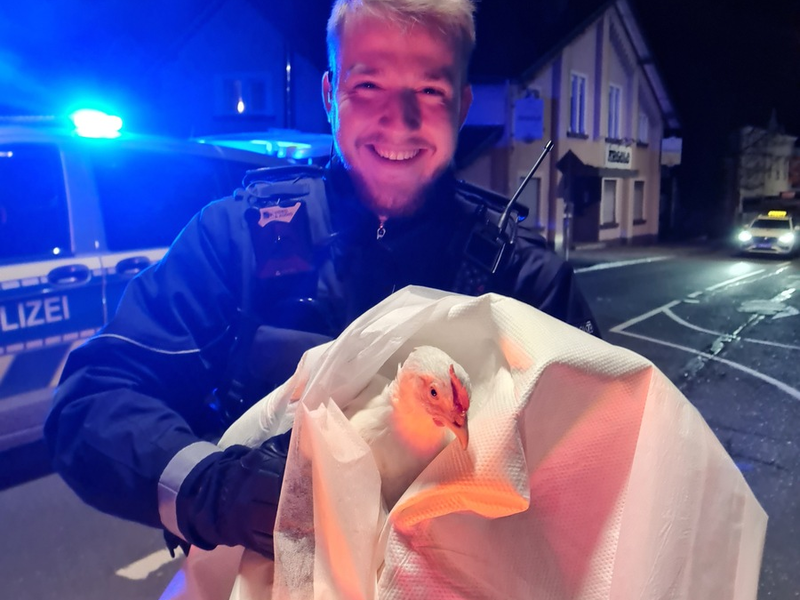 POL-HI: Jeden Tag eine gute Tat - Foto: presseportal.de