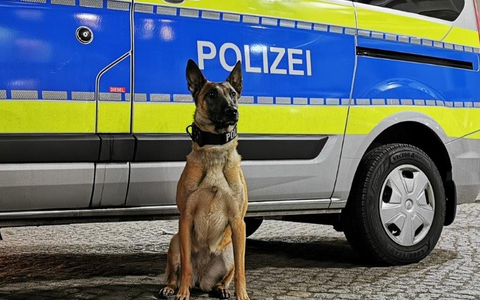 POL-HH: 240108-3. Diensthündin spürt Einbrecher in Hamburg-St. Georg auf - Zuführung - Foto: presseportal.de POL-HH: 240108-3. Diensthündin spürt Einbrecher in Hamburg-St. Georg auf - Zuführung - Foto: presseportal.de
