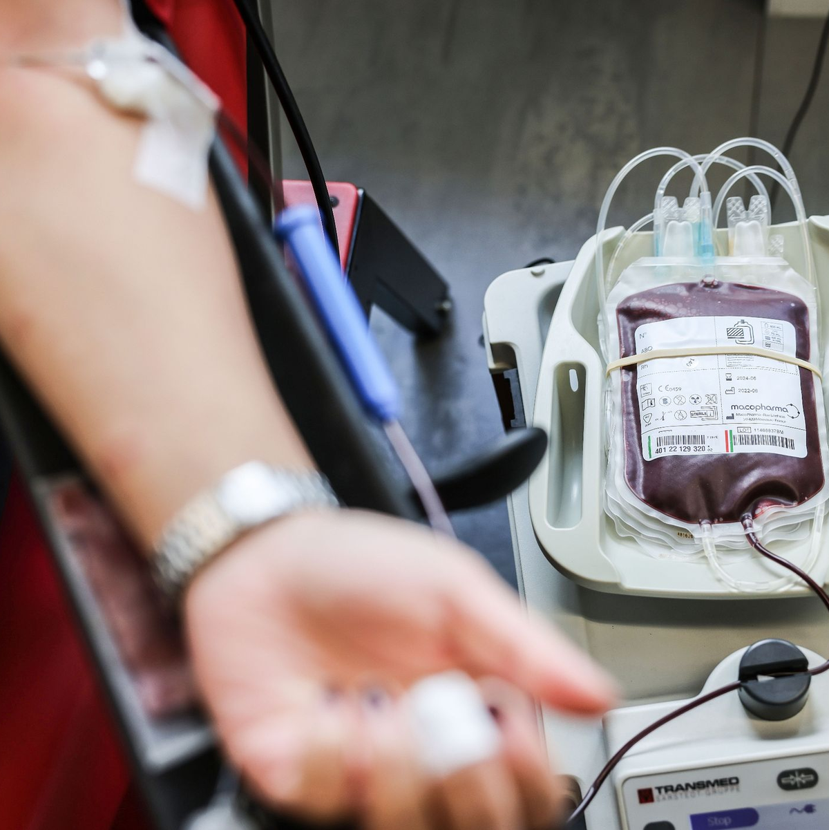 Das DRK bietet an vielen Orten Blutspendetermine an. (Archivbild).  - Foto: Oliver Berg/dpa