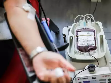 Blutspenden können Leben retten. Daran wird am Blutspendetag erinnert.  - Foto: Oliver Berg/dpa