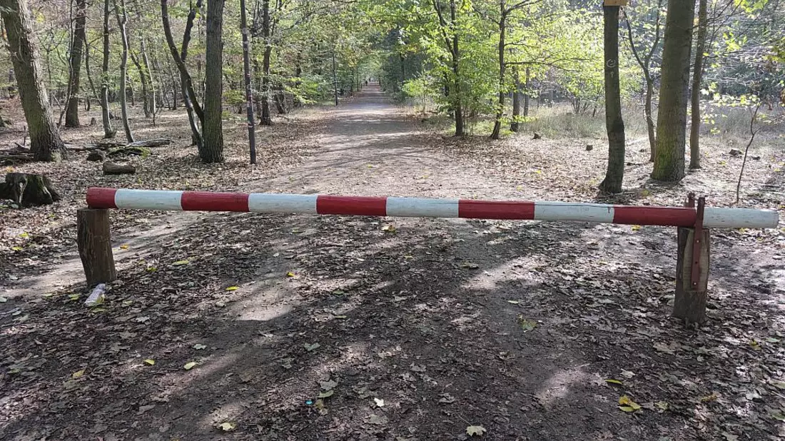 Schranke im Wald - Bild: ?ber dts Nachrichtenagentur