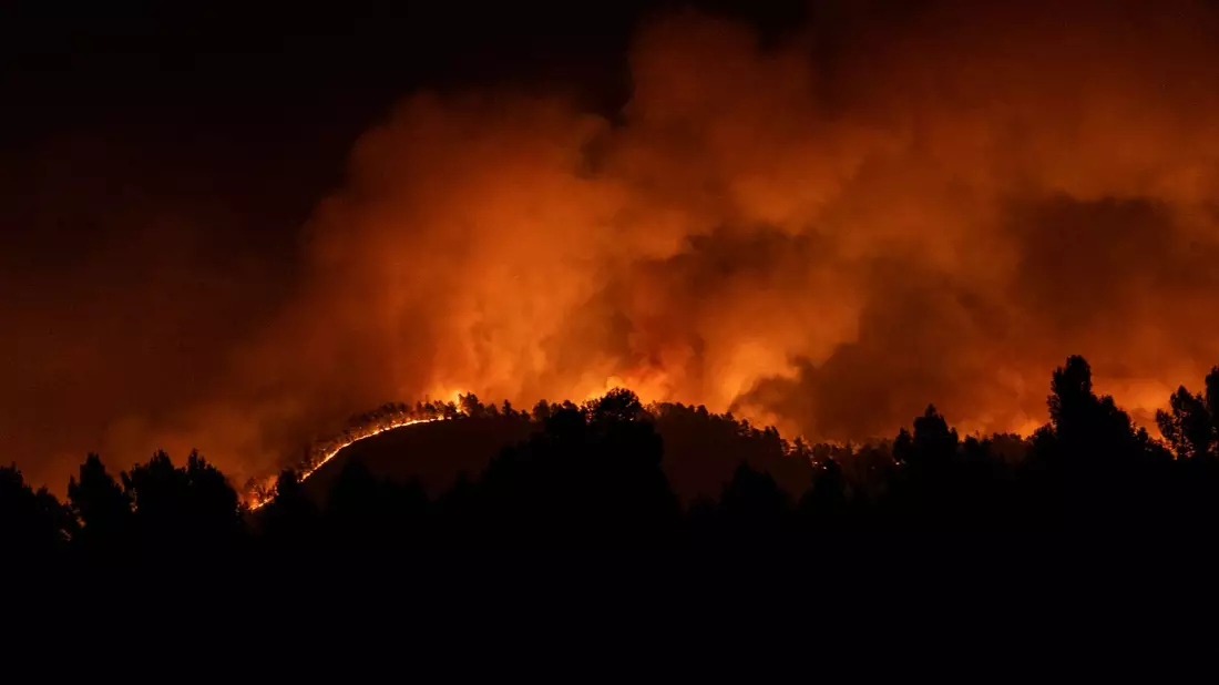 Spanien war in diesem Frühjahr außergewöhnlich stark von Waldbränden betroffen. - Bild: Lorena Sopêna/EUROPA PRESS/dpa