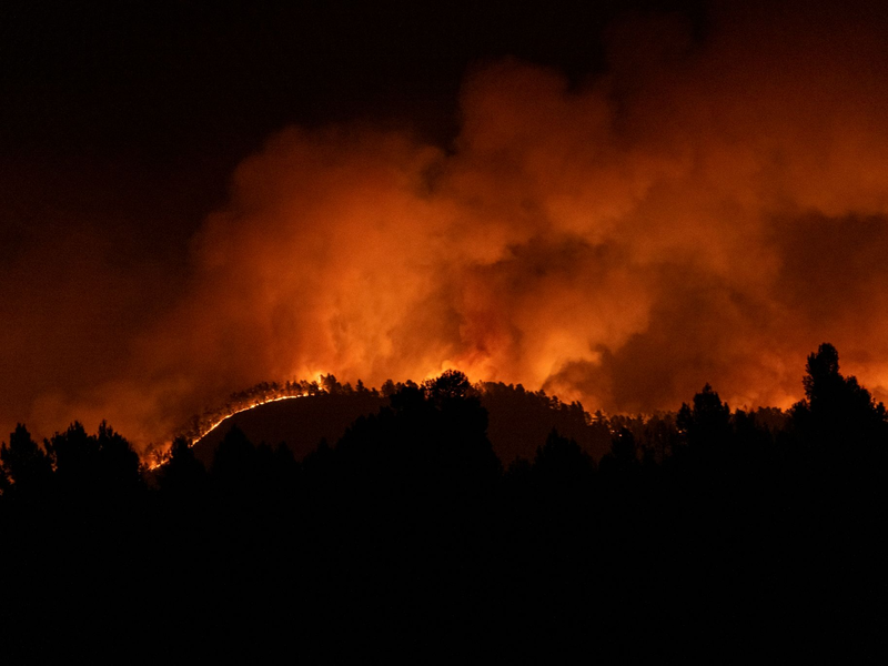 Spanien war in diesem Frühjahr außergewöhnlich stark von Waldbränden betroffen. - Foto: Lorena Sopêna/EUROPA PRESS/dpa