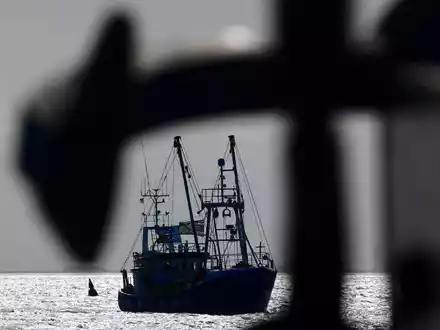 Die EU-Kommission erarbeitet jedes Jahr auf Grundlage wissenschaftlicher Empfehlungen Fangmengen. Das letzte Wort haben aber die EU-Fischereiminister. - Foto: Frank Molter/dpa