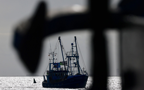 Die EU-Kommission erarbeitet jedes Jahr auf Grundlage wissenschaftlicher Empfehlungen Fangmengen. Das letzte Wort haben aber die EU-Fischereiminister. - Foto: Frank Molter/dpa