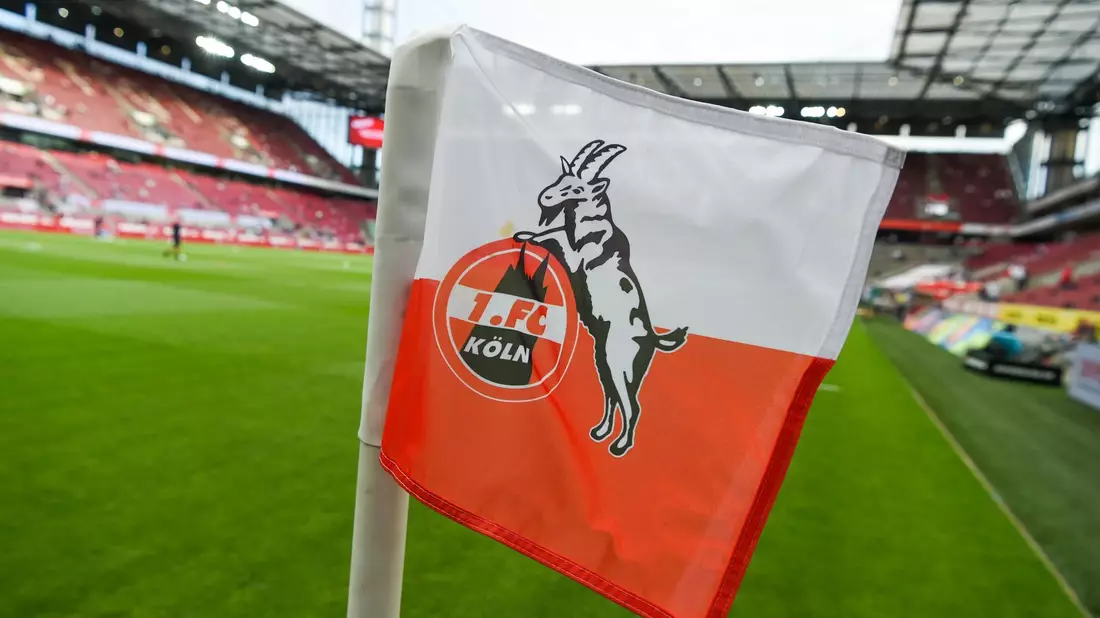 Der 1. FC Köln hat in der vergangenen Saison eine positive Bilanz erzielt. - Bild: Christophe Gateau/dpa