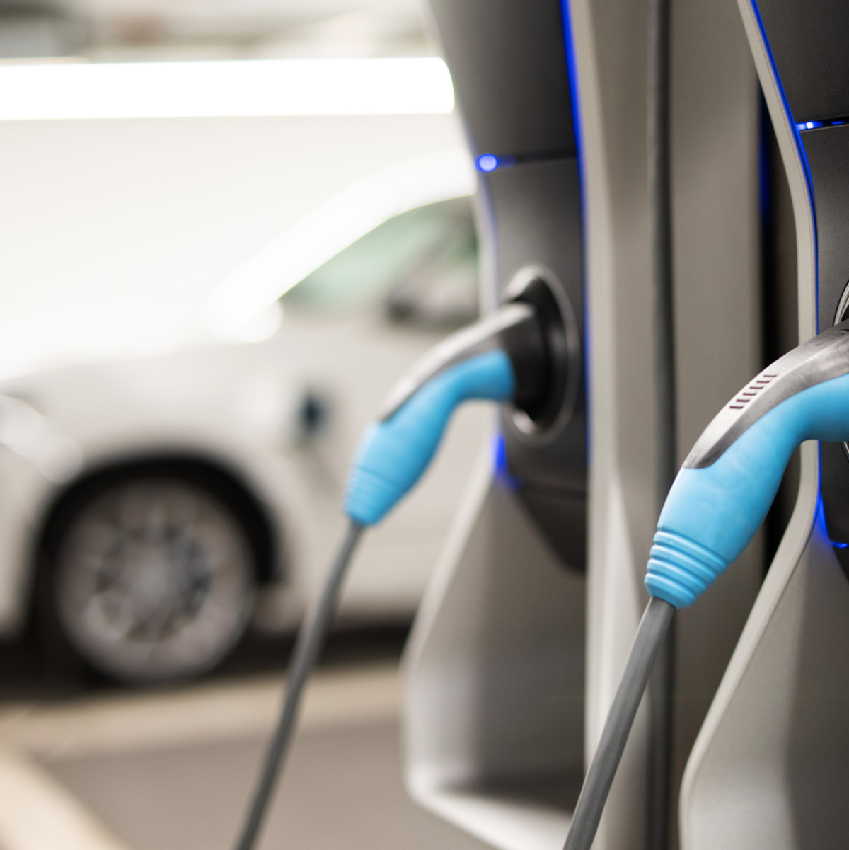 stock.adobe.com © Wellnhofer Designs - Foto: stock.adobe.com © Wellnhofer Designs