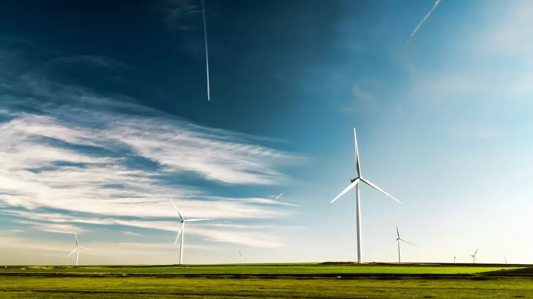 Klimaschutzwirkung des Bestands nutzen: REDIII national ambitioniert umsetzen - Bild: presseportal.de