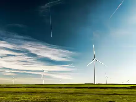 Klimaschutzwirkung des Bestands nutzen: REDIII national ambitioniert umsetzen - Foto: presseportal.de