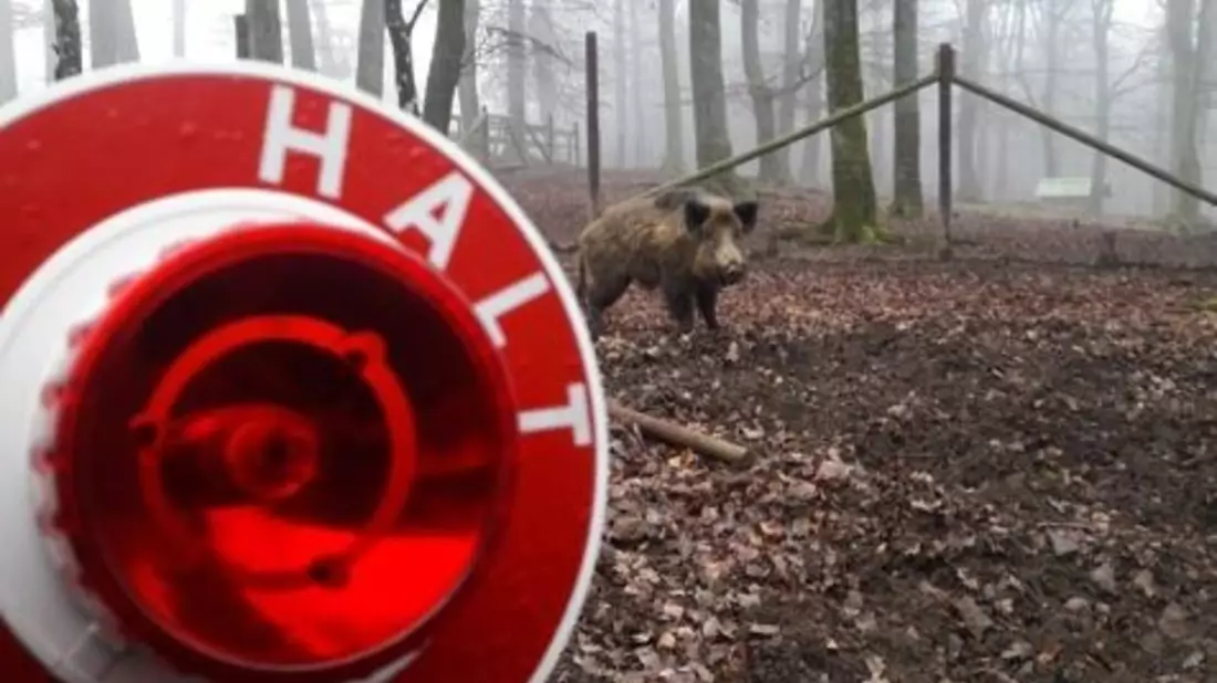 POL-EU: Zeitumstellung am Wochenende - Polizei warnt vor erhöhter Wildwechsel-Gefahr - Bild: presseportal.de