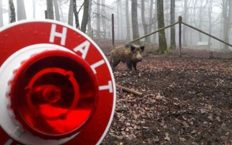 POL-EU: Zeitumstellung am Wochenende - Polizei warnt vor erhöhter Wildwechsel-Gefahr - Foto: presseportal.de