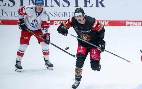 Die deutschen Hockey-Frauen stehen im Finale der Hallen-EM. - Foto: Sebastian Christoph Gollnow/dpa