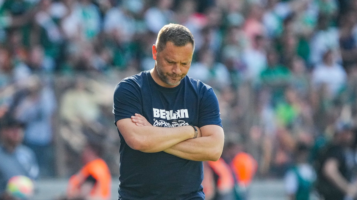 Pal Dardai bleibt Trainer der Berliner Hertha. - Foto: Soeren Stache/dpa