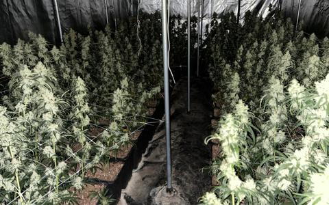 POL-NOM: Alleinbeteiligt gegen eine steinerne Mauer gefahren - Foto: presseportal.de