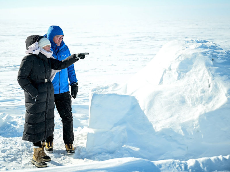 Bundespräsident Frank-Walter Steinmeier spendete seiner Frau im Jahr 2010 eine Niere. (Archivbild) - Foto: Britta Pedersen/dpa