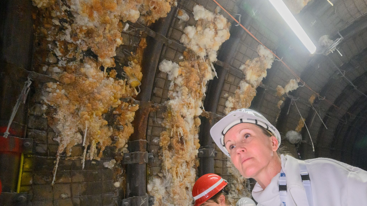 Ministerin will schnellere Rückholung des Asse-Abfalls - Foto: Julian Stratenschulte/dpa