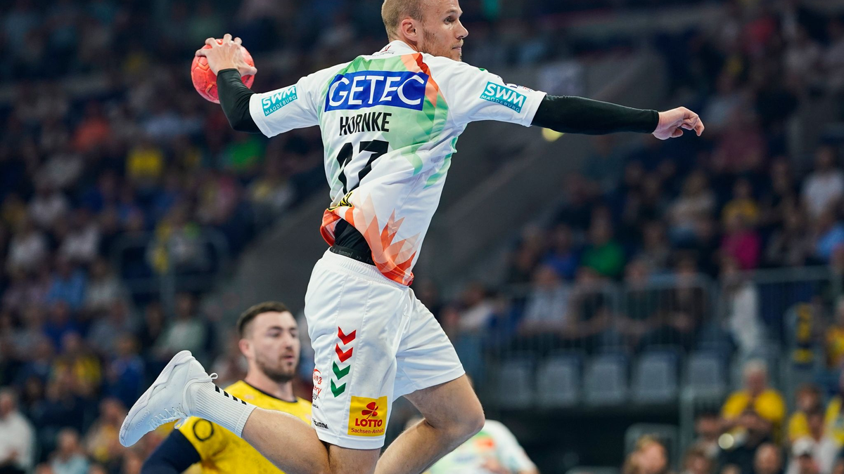 Der SC Magdeburg hat die Meisterschaft mit einem Sieg bei den Rhein-Neckar Löwen perfekt gemacht. - Foto: Uwe Anspach/dpa