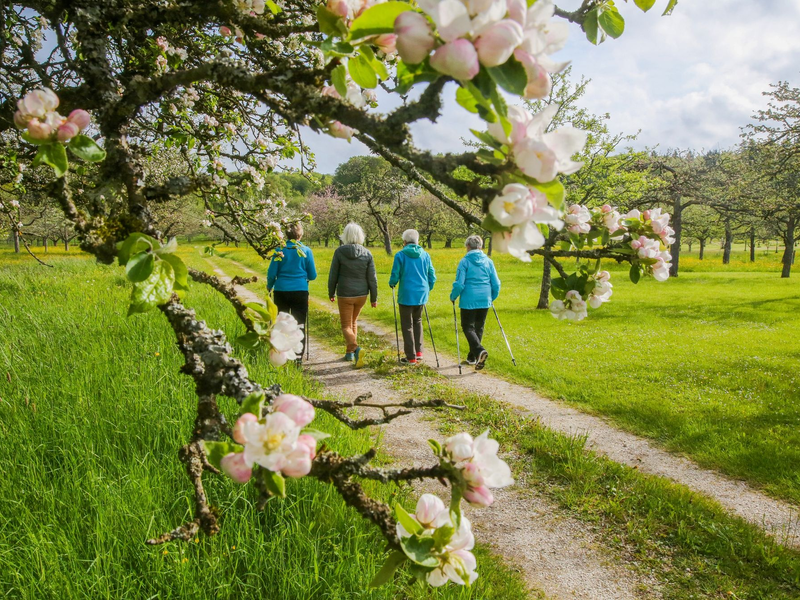 2023 war das wärmste Jahr in Deutschland seit Beginn der Aufzeichnungen 1881. - Foto: Thomas Warnack/dpa