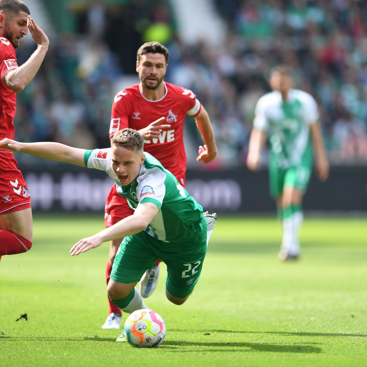 Bremens Romano Schmid (r) geht artistisch zum Ball, der Kölner Sebastian Sebulonsen schaut gebannt zu. - Foto: Carmen Jaspersen/dpa