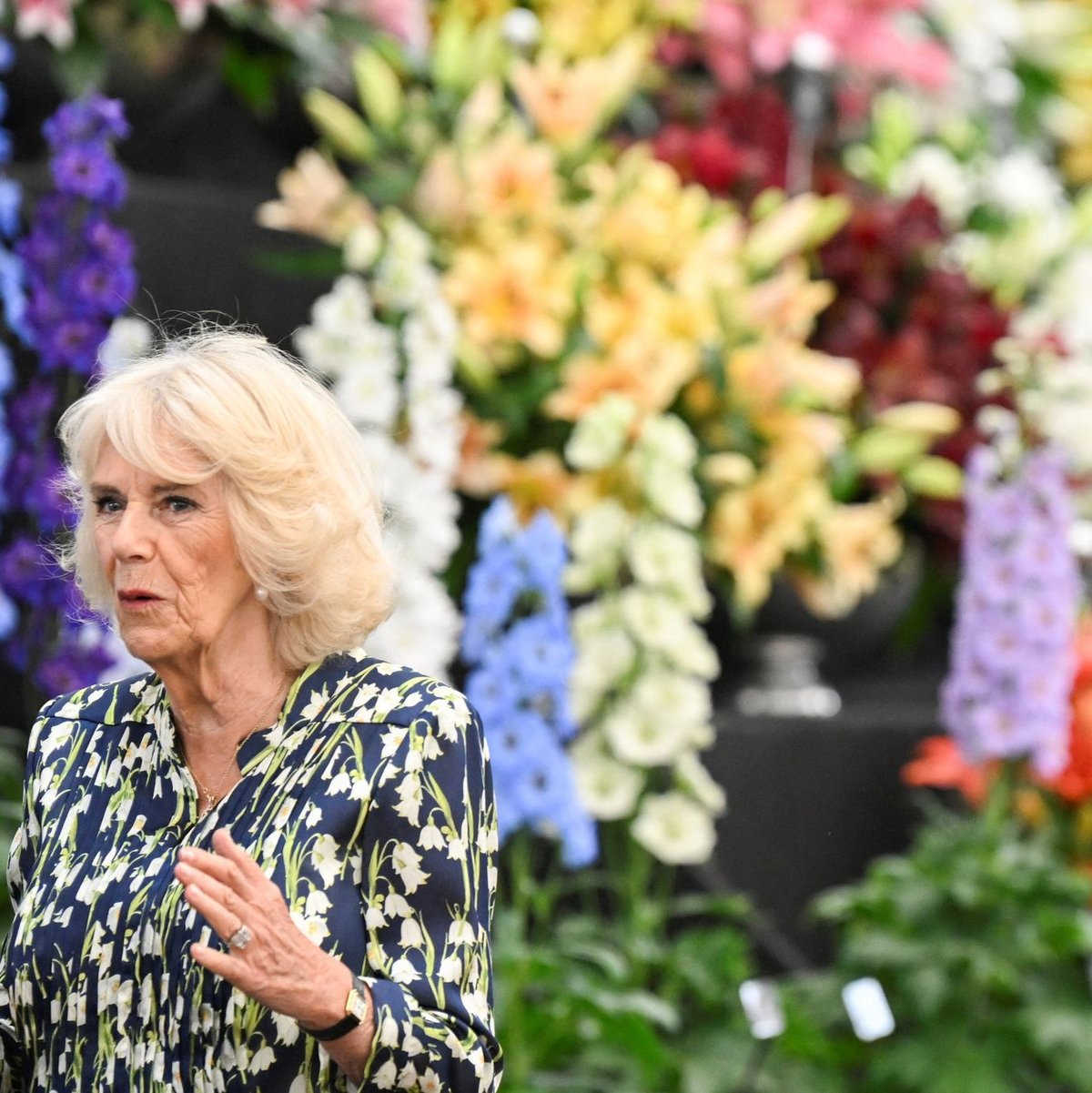 Ein Meer von Blumen: Königin Camilla besucht die Chelsea Flower Show. - Foto: Toby Melville/PA Wire/dpa