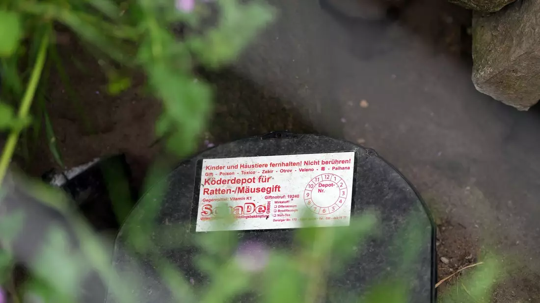 Solche Köder-Fallen helfen bei der Rattenbekämpfung. - Bild: Soeren Stache/dpa