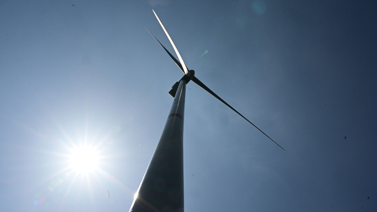 Windenergie steht an der Spitze des Ausbaus, glaubt IEA-Direktor Fatih Birol. - Foto: Bernd Weißbrod/dpa