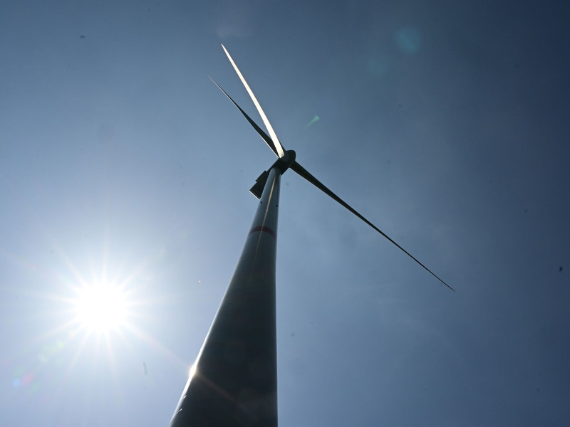 Windenergie steht an der Spitze des Ausbaus, glaubt IEA-Direktor Fatih Birol. - Foto: Bernd Weißbrod/dpa