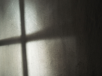 In den vergangenen Jahren wurden mehrere große Missbrauchsskandale in der katholischen Kirche in den USA aufgedecktt. - Foto: Annette Riedl/dpa