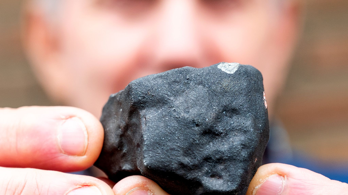 Hausbesitzer Wilfried Labusch mit einem kleinen Meteoriten, der niedergegangen ist. - Foto: Daniel Bockwoldt/dpa