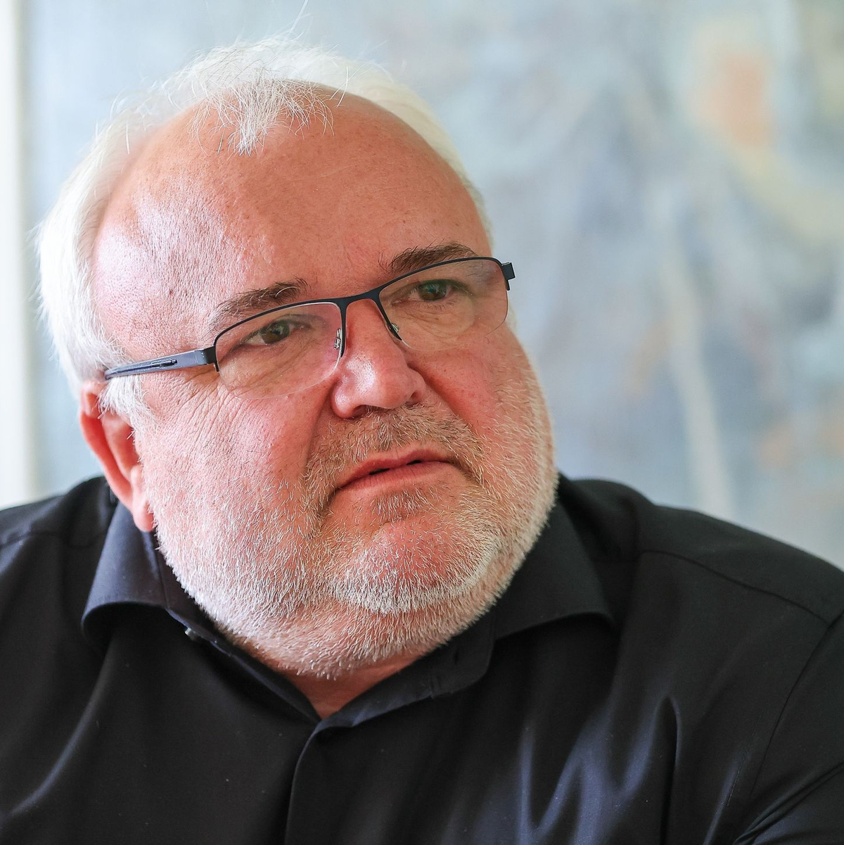 Der Leipziger Zoo schlachtete 2023 einen Zebrahengst, für den sich kein Platz in einem anderen Zoo fand. - Foto: Jan Woitas/dpa