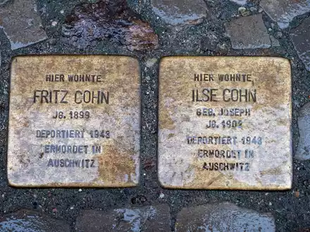 Stolpersteine mit den Namen Fritz Cohn und Ilse Cohn, verlegt in Stralsund. - Foto: Stefan Sauer/dpa